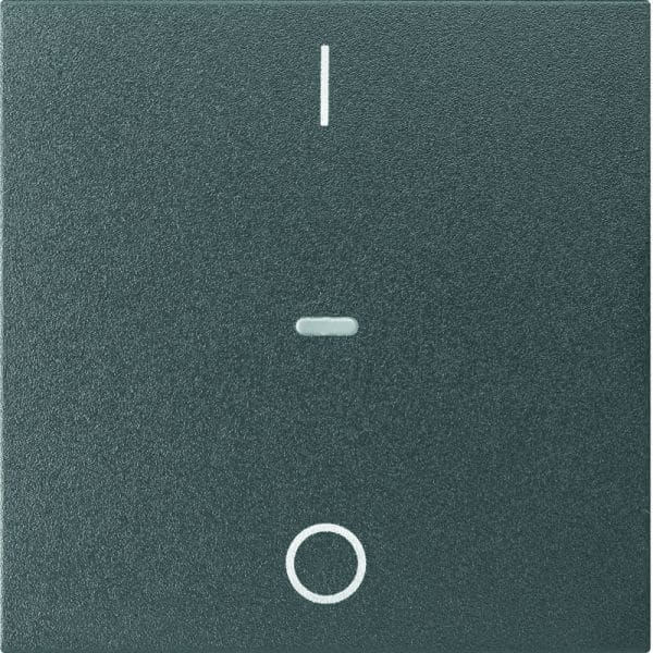 BERKER - KNX S.1 Abdeckung für Tastsensor Modul mit I/O Symbol 1fach anthrazit m.