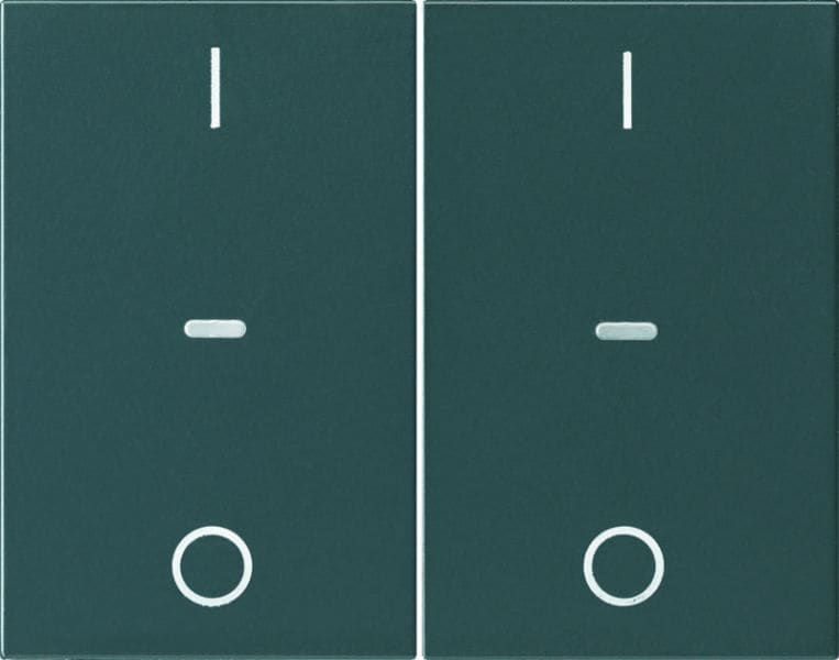 BERKER - KNX K.1 Abdeckung für Tastsensor Modul mit I/O Symbol 2fach anthrazit m.