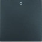 BERKER - S.1 IP44 Wippe mit Befestigungss. mit Aufdruck 0 anthrazit matt