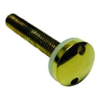 FERMAX - Zweiloch Sicherheits- Schraube Messing für Messing Türstation (alte Serie)