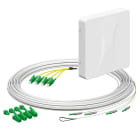 KAISER - Teilnehmeranschluss Gf-TA E3S Connect, AP, 4xF, LC/APC DX, L=10m, HÜP, LC/APC
