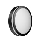 BRUMBERG - EYE LED-Wandanbaul. rund, str.sw 230V 18W 3000K IP65 120°