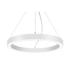 BRUMBERG - BIRO CIRCLE Pendel-Ringl rund, str.ws D450,H100, 8TW.CA 30W 110°