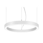 BRUMBERG - BIRO CIRCLE Pendel-Ringl rund str.ws D2500,H100, 830.DA d/i 249W 110°