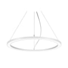 BRUMBERG - BIRO CIRCLE Pendel-Ringl rund, str.ws D1000,H35mm, 8TW.CA 65W 110°