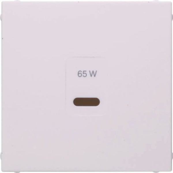 BERKER - S.1/B.x Zentralstück für USB für PD Power Modul polarweiß matt