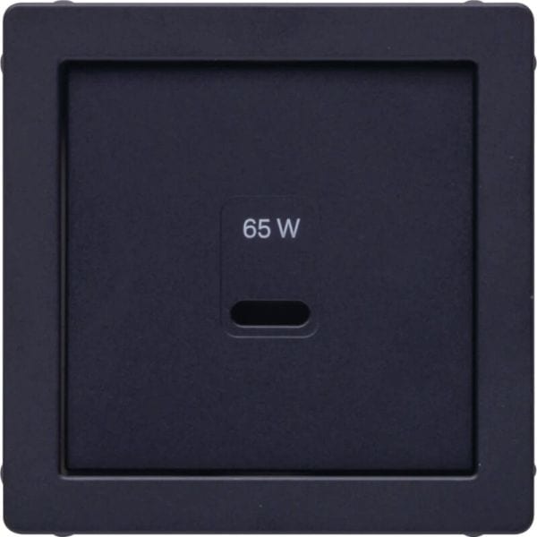 BERKER - Q.x Zentralstück für USB für PD Power Modul anthrazit samt