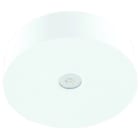 FISCHER - AXDE19I SHL LPS APL 1W Decke IP65 rund bws I1