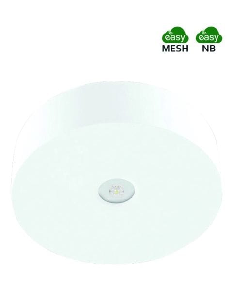 FISCHER - AXD319M SHL EB 3h,Fläche,1W ballwurfsicher