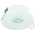FISCHER - AXE315M SHL EB 3h,Fluchtweg,1W