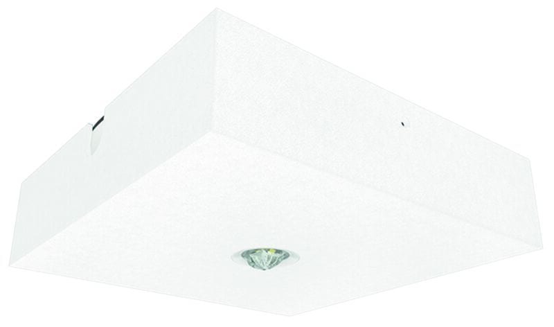 FISCHER - BQDE15I2 SHL LPS SHL 1W Decke IP42 quadratisch I2