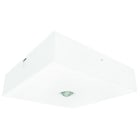 FISCHER - BQDE29Z SHL CPS APL 2W Decke IP42 quadratisch ZB2