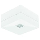 FISCHER - LVDE19I2 SHL LPS APL 1W Decke IP41 quadratisch I2