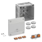 SPELSBERG - Abzweigkasten IP66/IP67/IP69 Abox Pro SLK-4²