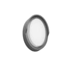 BRUMBERG - COATIS LED-Wandanbauleuchte 12W 3000K IP65 strgra oval