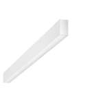 BRUMBERG - BIRO40 LED-Anbau-Profill., 2260 mm, DA, sw