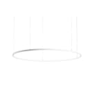 BRUMBERG - ANDROS IN LED-Pendel-Ring, D=1.800mm, Matter 3000K strws
