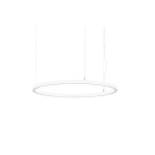 BRUMBERG - ANDROS IN/OUT LED-Pendel-Ring, D=800mm, Matter 3000K strws