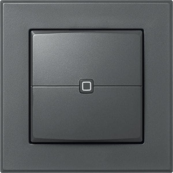 EQ3 - Wandtaster 2-fach anthrazit für 55 x 55 Rahmen, HmIP-WRC2-A