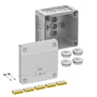 SPELSBERG - Abzweigkasten, Schutzart IP66/IP67/IP69, max. 4²