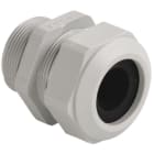 AGRO - Kabelverschraubung Progress Kst GFK Pg36, Hellgrau RAL 7035 Kabel Ø 21.5-26.0 mm