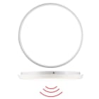 BEG - Flache LED Rundleuchte AL8-25-300-LED-3C-HF weiß