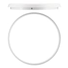BEG - Flache LED Rundleuchte AL8-25-300-LED-3C weiß