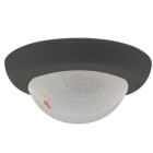 BEG - Korridorlinse PD4N Typ A mit Abdeckring anthrazit RAL7016