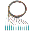 RUTENBECK - Q8Pigtails 12xLC OM3 2m