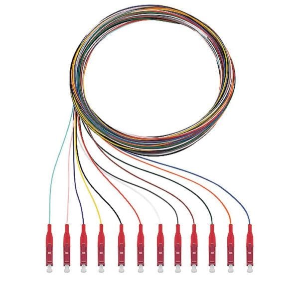 RUTENBECK - Q8Pigtails 12xLC OM4 2m