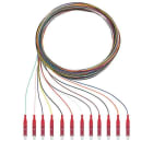 RUTENBECK - Q8Pigtails 12xLC OM4 2m
