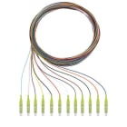 RUTENBECK - Q8Pigtails 12xLC OM5 2m