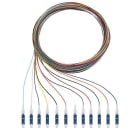 RUTENBECK - Q8Pigtails 12xLC OS2 2m