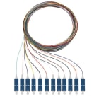 RUTENBECK - Q8Pigtails 12xSC OS2 2m