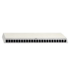 RUTENBECK - PP-UM-Cat.6A iso 10G-24/24 Ap rw Patchpanel