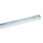 SCHUCH - LED Feuchtr. Notleuchte 163 Gen.2 163 12L42G2/1 MA, 4290lm/830lm, 31W IP65
