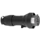SCHUCH - EX-STECKER 7000/106 24V 2p Zonen 1, 2, 21 und 22