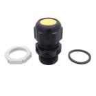 SCHUCH - Ex-Verschraubung 2537 G M25x1,5 mit Gegenmutter