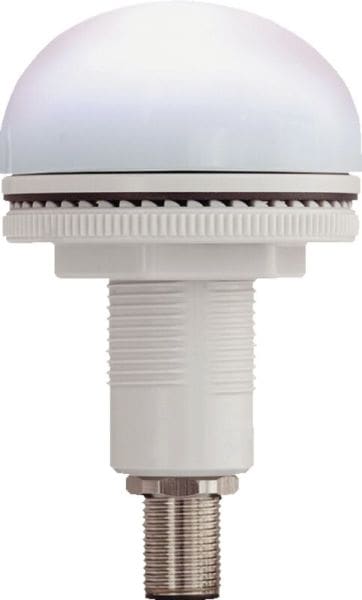 SIRENA - P50 S M12 Leuchte blink/dauer weiß, 12-24V, ACDC, IP66