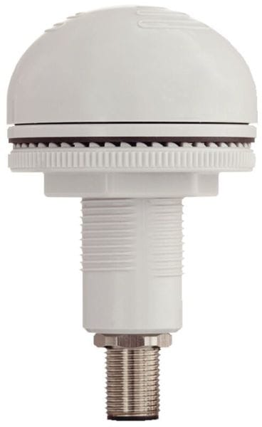 SIRENA - P50 A M12 Buzzer grau, 12-24V, ACDC, IP65
