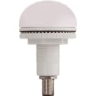 SIRENA - P50A LED M12 Buzzer blink/dauer weiß, 12-24V, ACDC, IP65