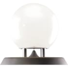 WHD - R 1900 WR/BT DSP, Außenlautsprecher mit Leuchte, weiss/granit-grau