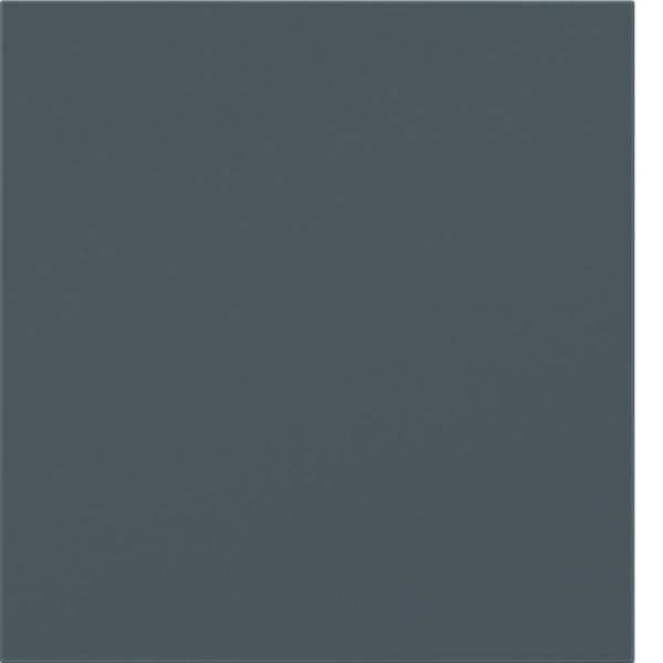 BERKER - KNX S.1/B.x Tasten f TS-GM 1-fach anthrazit matt