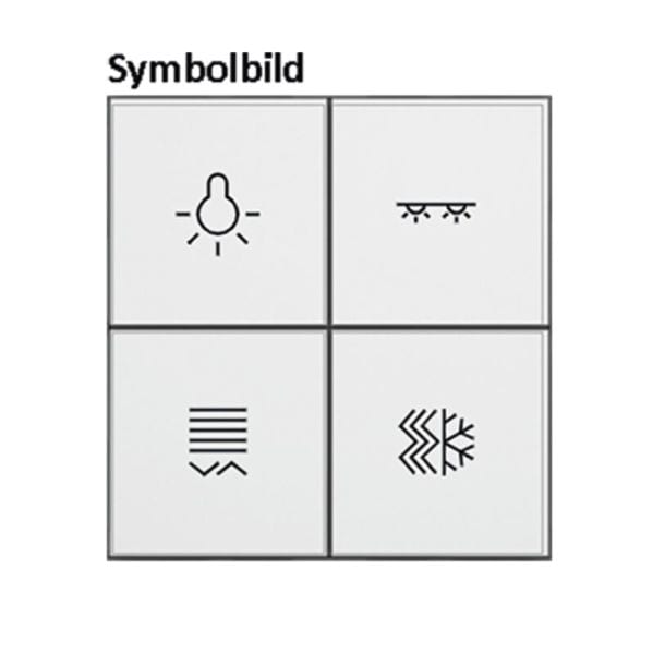 BERKER - KNX Q.x Tasten f. TS-GM 4-fach polarweiß matt bedruckt