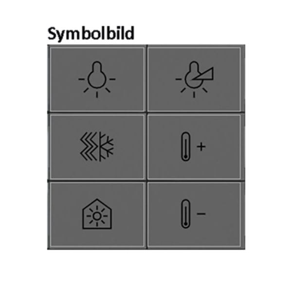 BERKER - KNX Q.x Tasten f. TS-GM 6-fach anthrazit matt hinterleuchtet