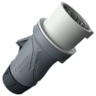 MENNEKES - Stecker PowerTOP Xtra R HW/VN 32A 5p 12h IP54 ErgoCONTACT