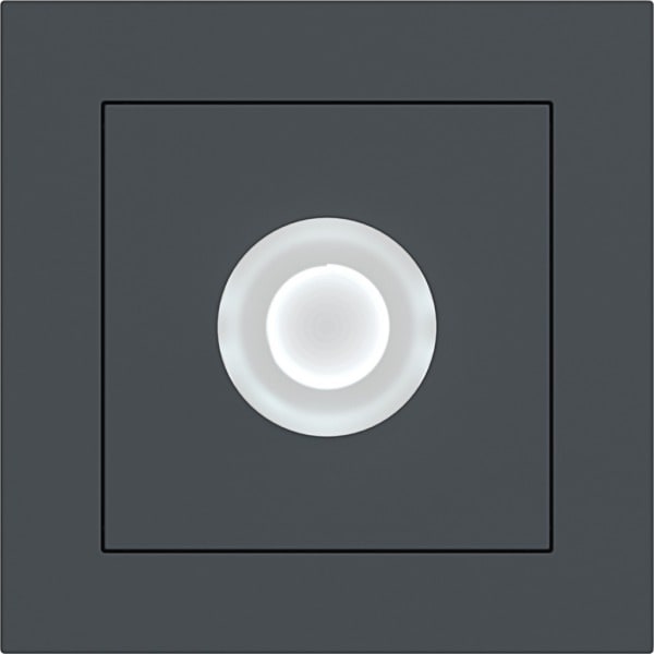 HAGER - A.1 Taster E10 komplett für Treppenhauslicht, Schraubkl. anthrazit