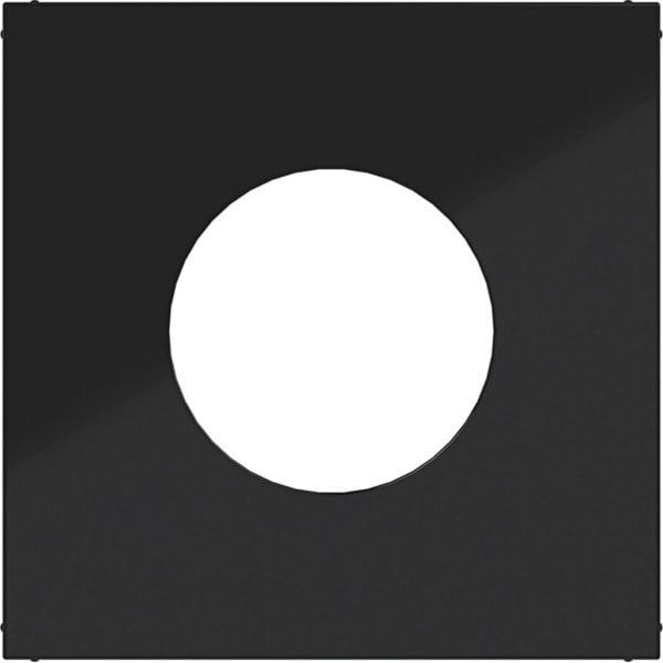 HAGER - A.x/C.x Zstk. für Druck- Taster/Lichtsignal E10, nachtschwarz gl.