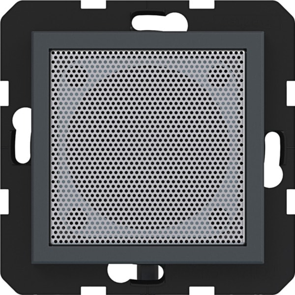 HAGER - A.x/C.x Lautsprecher für Radio Touch, anthrazit matt, lack., UP