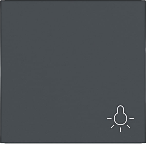 HAGER - A.x/C.x Wippe 1fach mit Aufdruck Symbol Licht anthrazit matt lack.